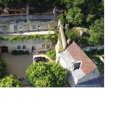 Maison Troglodyte Elegante Avec Spa, Salle De Jeux Et Jardin Clos A Vouvray - Fr-1-381-87 Exterior foto